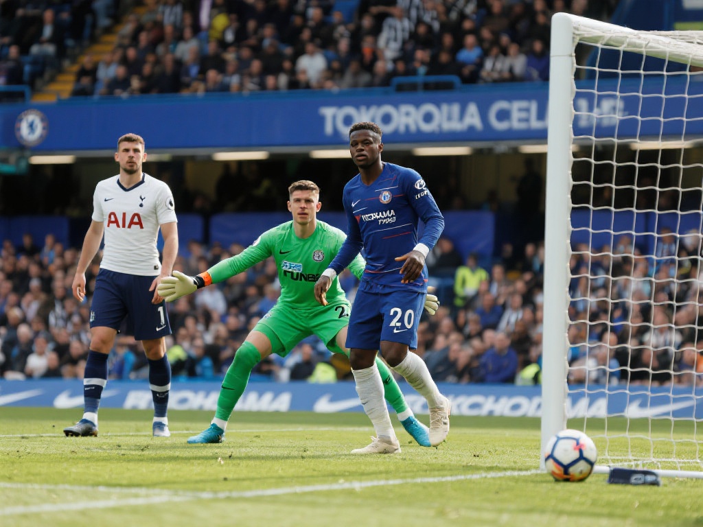 的严密防守 的严密防守